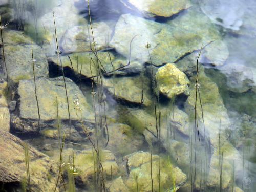 Grindjisee, Zermatt, Suisse