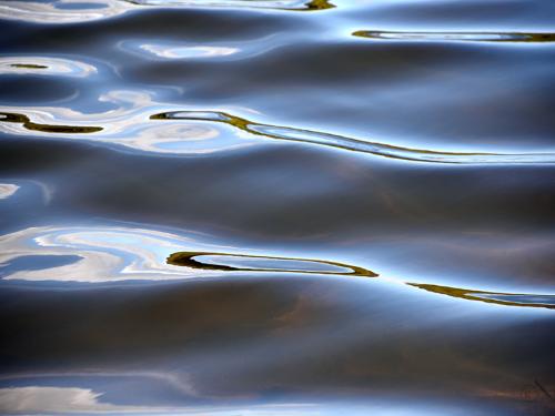 Lac de Saint Denis, Aude