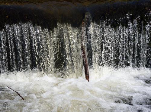 Laudot à Saint-Féréol