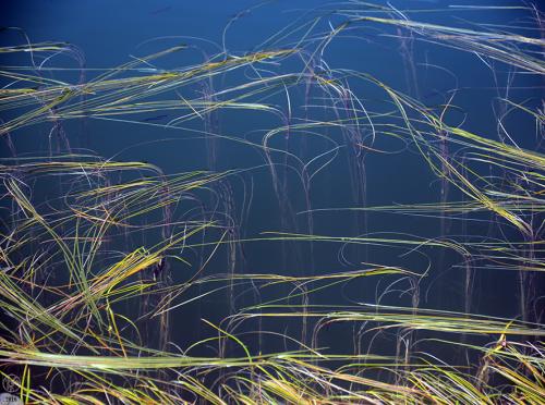 Riffelsee à Zermatt