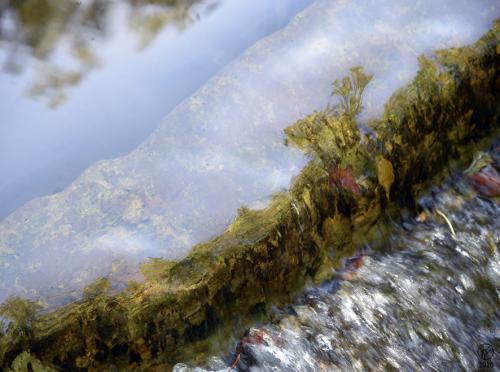 moulin du Chapitre, Sorèze